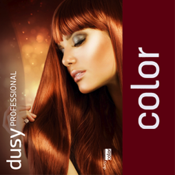 http://friseursalon-geyer.de/wp-content/uploads/2024/10/color.png